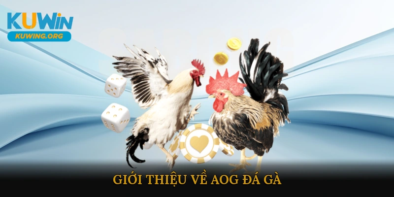 Giới Thiệu Về AOG Đá Gà