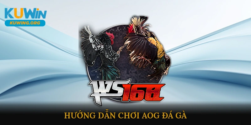 Hướng Dẫn Chơi AOG Đá Gà