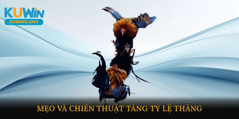 Mẹo và Chiến Thuật Tăng Tỷ Lệ Thắng